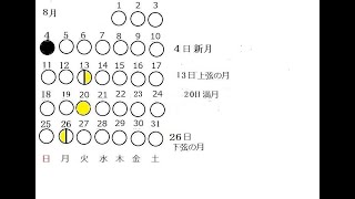 スカイツリーの天気3日翔平メーター [upl. by Assila]