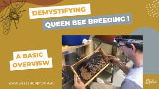 Ep 138 Demystifying Queen Bee Rearing Whats involved in breeding queen bees [upl. by Macdermot]