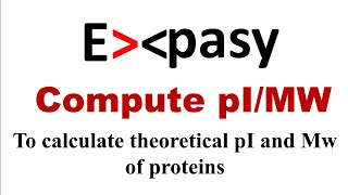 How to calculate isoelectric point amp molecular weight of a protein  Expasys compute pIMW tool [upl. by Clemence]