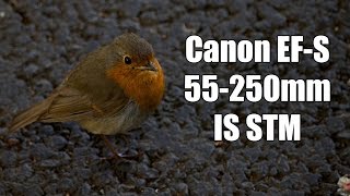 Canon EFS 55250mm f456 IS STM Sample Photos 4K [upl. by Sewole]