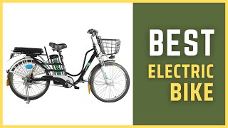 Best Electric Bike  OEM 24 Inch Household Electric Bike Review [upl. by Alekehs474]