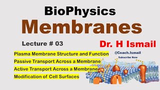 Membrane Transport and Potential Explained  Biophysics Overview  Chapter 02  Dr H Ismail [upl. by Aamsa658]