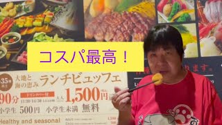 コスパ最高！新宿隠れ坊和食バイキング1500円 [upl. by Reppep608]