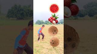 Rounding to coconut tarbhuj  litchi mango funny 🤣 vfx magic video shorts trendingshorts viral [upl. by Enenaej434]