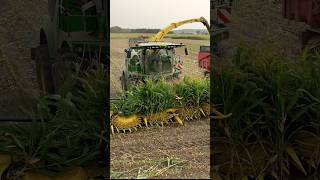 ensileuse John Deere unique 😍 agricomfrance ensilage [upl. by Akiemehs]