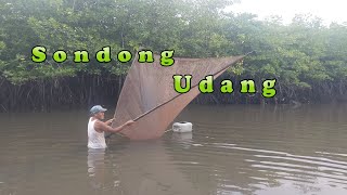 sondong udang pepai [upl. by Kassia]