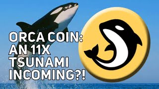 ORCA COIN  THE DECENTRALISED EXCHANGE FOR SOLANA  11X TSUNAMI INCOMING [upl. by Gipps266]