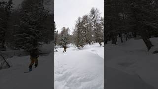 Scialpinismo in Lagorai skitouring lagorai [upl. by Faun]