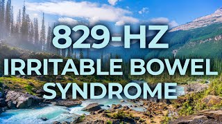 829Hz Music Therapy for Irritable Bowel Syndrome IBS  40Hz Binaural Beat  Healing Relaxing [upl. by Costin]