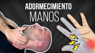 🖐🏻4 Ejercicios de 1 minuto para LOS HORMIGUEOS O MANOS DORMIDAS [upl. by Ajam131]