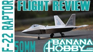 F22 Raptor 50mm BlitzRCWorks  Flight Review  EDF Fighter Jet [upl. by Chesnut150]