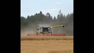 Claas Lexion 8900 [upl. by Sylvie]