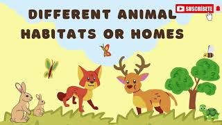 Animal Habitatsanimalhabitatsanimalhomesanimals Allearningskills [upl. by Midan]