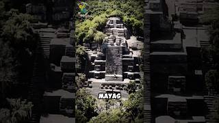 Calakmul El Misterio Oculto de la Selva Maya 🦍🐆 parati viral fypシ México prehispanico [upl. by Nared911]