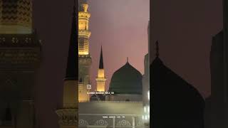 Medina Muslim [upl. by Eixirt]