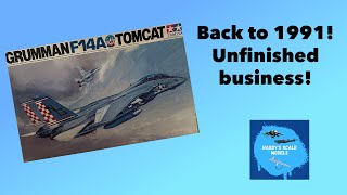 VINTAGE Tamiya 132 scale F14A Tomcat  old kit but still a good kit [upl. by Ardnahs]