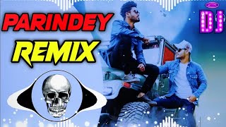 Se Udne Parindey Yaar Mere Jigri Dj Remix  Chode Chode Tyre Thar Ke Dj Remix  Parindey Remix [upl. by Tabina566]