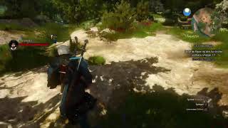 Lets Play The Witcher 3 Die Eroberung des Paradieses Folge 19 [upl. by Gaston]