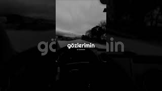 Gazapizm  Memleketsiz Lyrics [upl. by Naeerb]