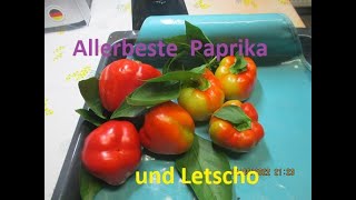 Paprika Letscho ist allerbeste von eingelegten Gemüsen [upl. by Shanda504]