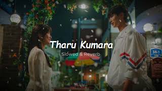 Ananthen a tharu kumara  Slowed amp Reverb  තරු කුමරා [upl. by Zara]