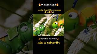 A Caterpillar selling shoes 👟Movie explained in tamil\dubbed MoviesTamil voice over mysterydiv [upl. by Layap]