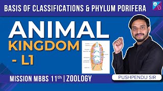 Basis of Classifications amp Phylum Porifera  Animal Kingdom Class 11 Concepts L1  NEET 2024 [upl. by Adnovoj]