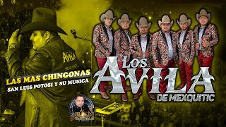 LOS AVILA 🤠  LAS MAS CHINGONAS🛑 [upl. by Ajnin]