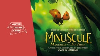 Mathieu Lamboley  Le nid  From the movie quotMinuscule Mandibles From Far Awayquot [upl. by Amara]