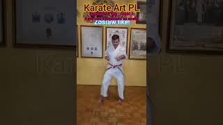 Egzamin 18 Kyu  Karazuki z pięściami na strefe karate sport sztukiwalki martialarts [upl. by Saxet126]