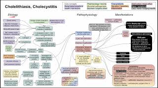 Cholelithiasis Cholecystitis mechanism of disease [upl. by Maureen]