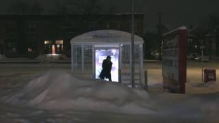 Bus Stop Dance Party [upl. by Lanita]