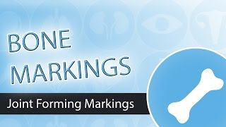 Bone Markings Joint Forming Markings [upl. by Kinemod10]