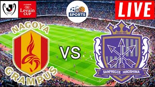 Nagoya Grampus vs Sanfrecce Hiroshima Live Score [upl. by O'Meara37]