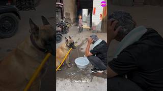 Tomy ne or choti ne puppy ki madad ki 🥰🐶  intelligent dog  smart dog  dog help puppy🐶 shorts [upl. by Nohsyar]