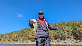 Table Rock Lake Video Fishing Report October 17 2023 short [upl. by Rellek]