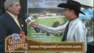 YEGUADA CENTURION EN CABALLOS BAILADORES TV entrevista [upl. by Rodina172]