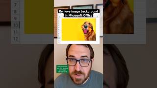 How to remove image background in Microsoft Office products like Excel Word PowerPoint or Outlook [upl. by Travis]