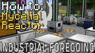 How to Industrial Foregoing  Mycelial Reactor Minecraft 1201 [upl. by Hilliary]