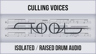 Tool  Culling Voices Isolated Audio Light Theme  Drum Sheet Music [upl. by Yeldah592]