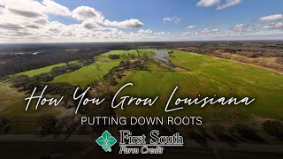 How You Grow Louisiana  Jeff Sanders [upl. by Hermine]