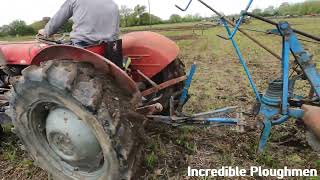 1959 Massey Ferguson 35 25 Litre 3Cyl Diesel Tractor 38 HP with Ransomes Trailed Plough [upl. by Noeruat339]