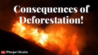 Frightening Consequences of Deforestation by Manjari Shukla  Deforestation Causes and Consequences [upl. by Derf]