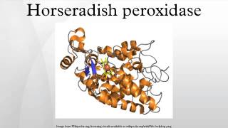 Horseradish peroxidase [upl. by Roach]