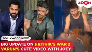 War 2’s MAJOR UPDATE starring Hrithik Roshan amp Jr NTR  Varun Dhawan’s CUTE video with his pet dog [upl. by Tenner]