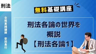 刑法15｜刑法各論概説｜ゼロからわかる、無料基礎講義 [upl. by Halla]