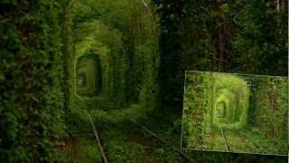 Тунель Кохання Клевань  Tunnel of love Ukraine [upl. by Koblick424]