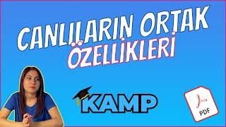 CANLILARIN ORTAK ÖZELLİKLERİ FULL TEKRAR TYT 2025 [upl. by Ennaer]