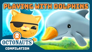 Octonauts  🏐 Playing with Dolphins 🐬  2 Hours Compilation  National Dolphin Day [upl. by Nierman203]