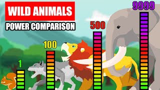 Wild Animals Power Comparison  Animal Animation [upl. by Olds]